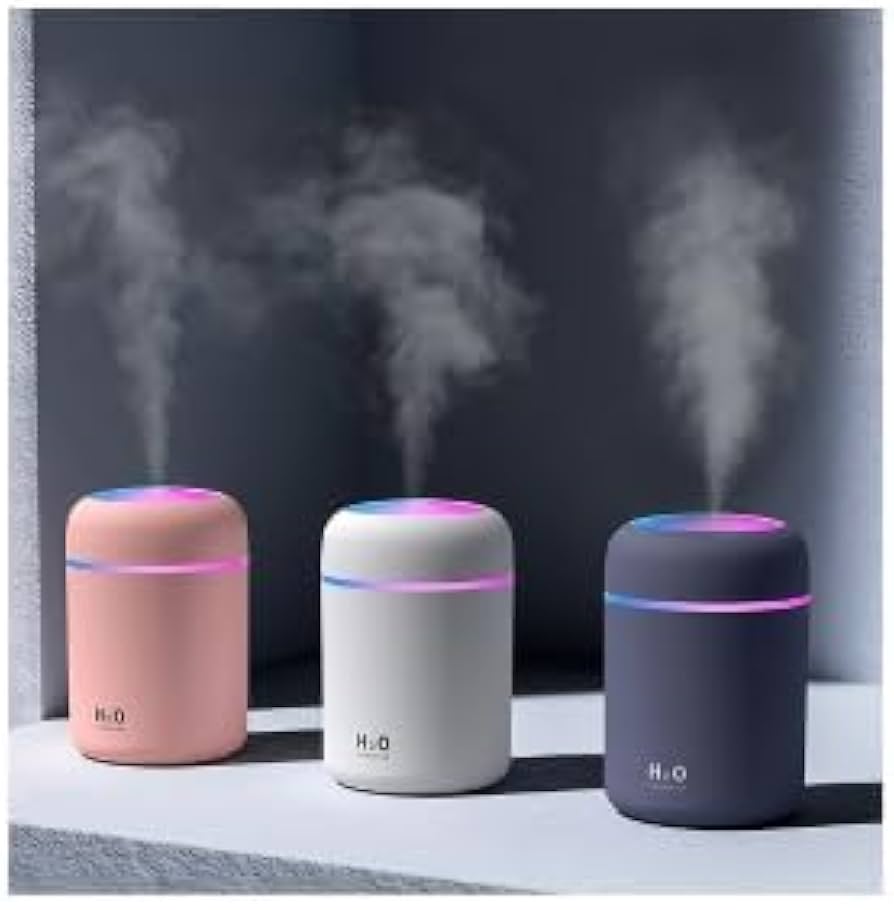 PORTABLE AIR HUMIDIFIER