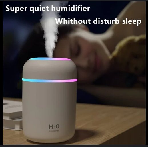 PORTABLE AIR HUMIDIFIER